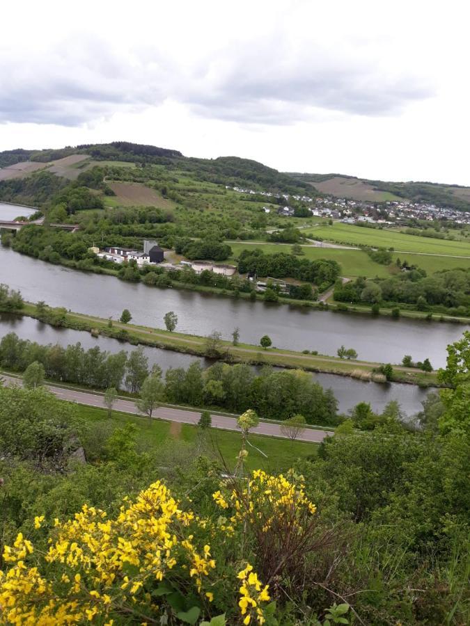 Ferienwohnung Saarblick Ockfen Eksteriør bilde