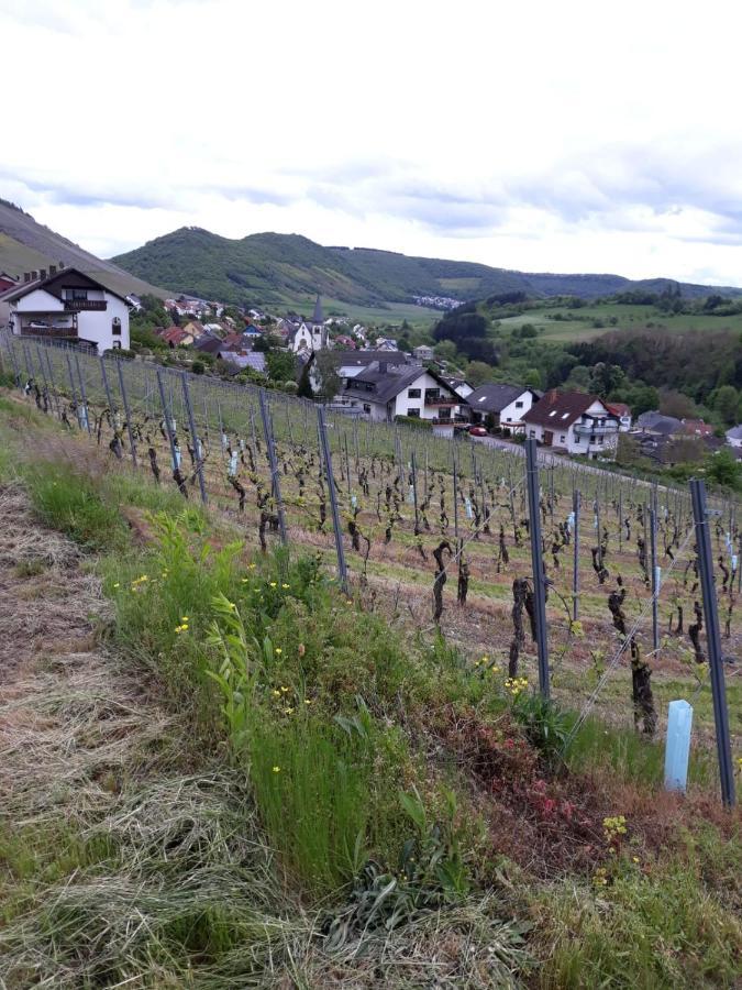 Ferienwohnung Saarblick Ockfen Eksteriør bilde